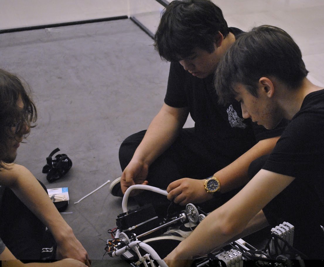 Wolves Robotics